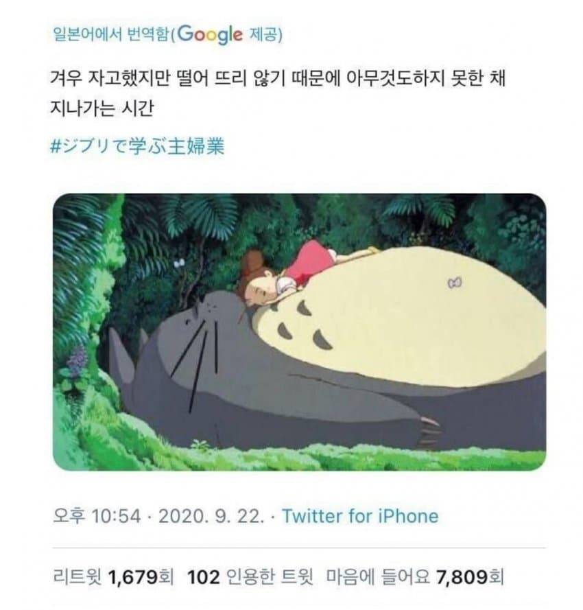 일본 유뷰녀들한테 유행했던 지브리 트윗 | 인스티즈