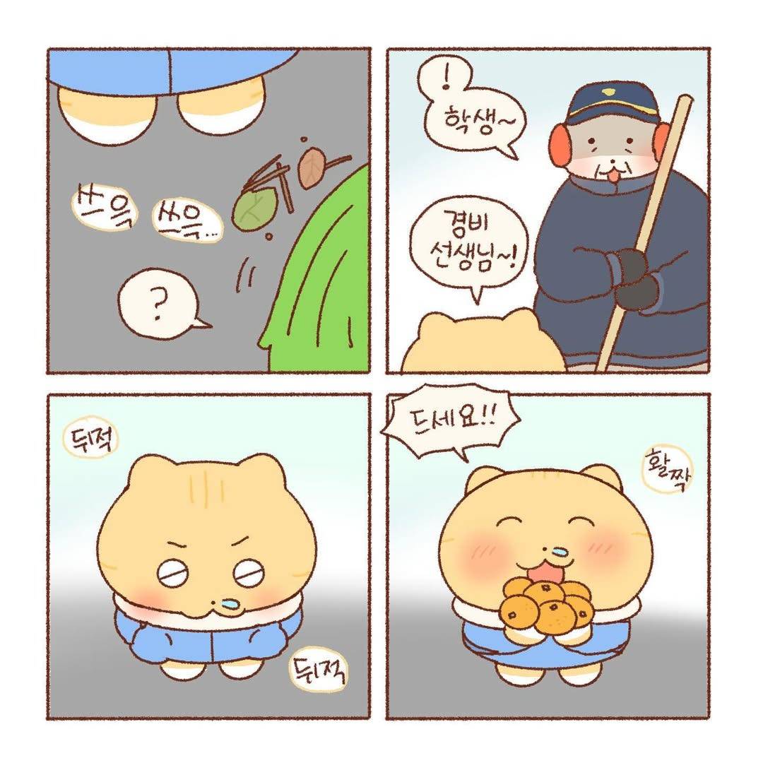 [틴틴팅클] 감나무 | 인스티즈