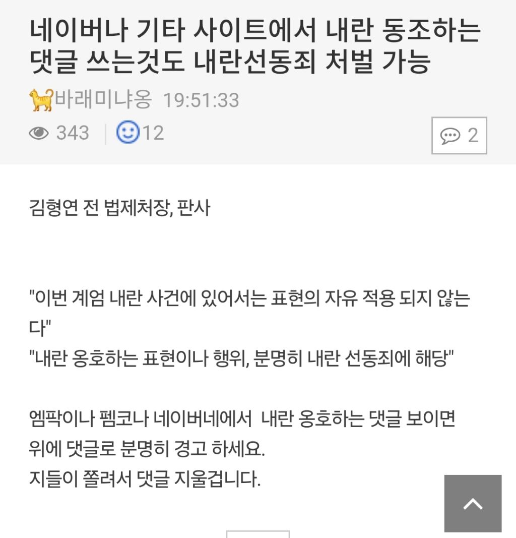 必수신)인터넷에 내란 동조 댓글쓰는것도 내란선동죄 | 인스티즈