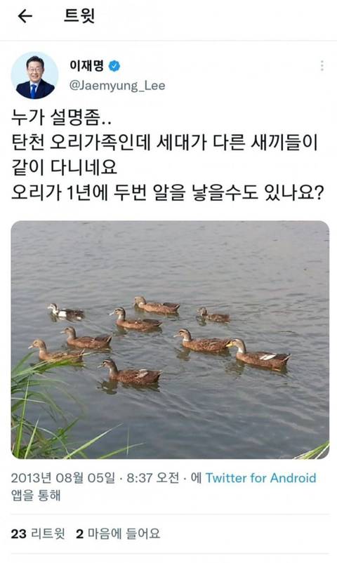 이재명 루머 날조 됐던 거 또 하나 밝혀짐 ㅇㅇ.jpg | 인스티즈
