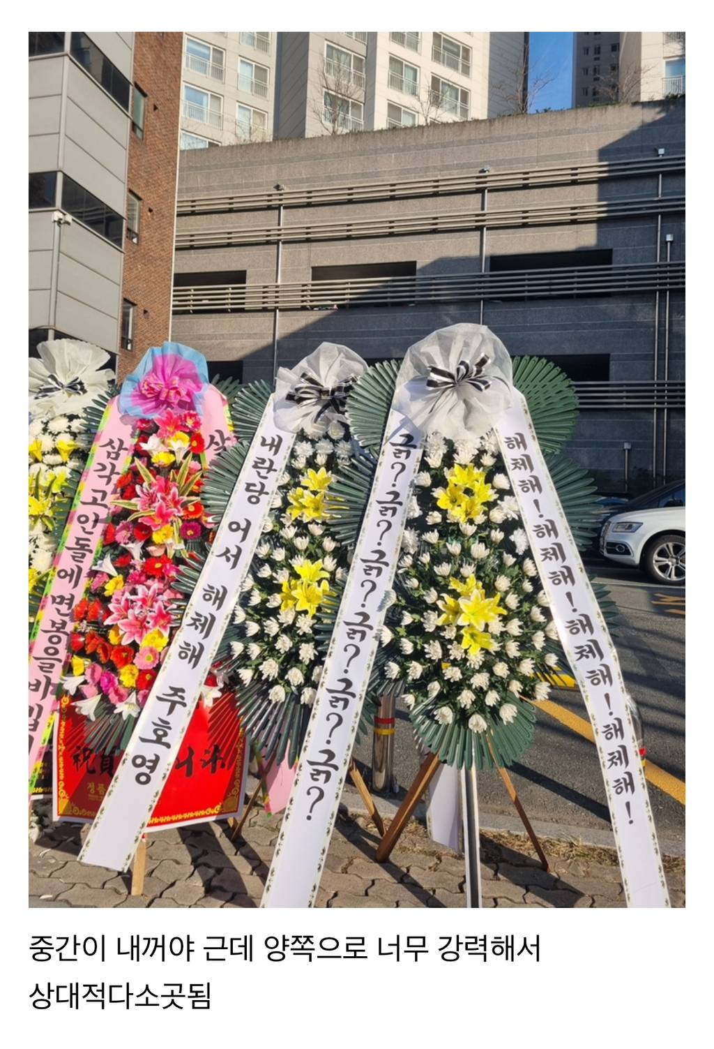 아 화환 도착했는데 너무 강력한 상대들임 | 인스티즈