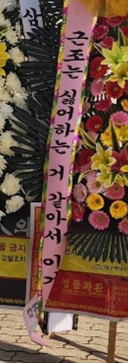 '근조는 싫어하는거 같아서' 국민의힘 대구당사 앞 축하화환ㅋㅋㅋㅋㅋ | 인스티즈