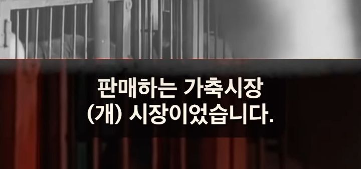 성남 모란 개시장을 단순히 밀어버린게 아니었던 이재명 | 인스티즈