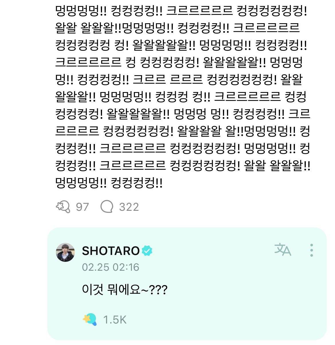 걍 2024년 밈 결산 그 자체인 탄핵 시위 피켓들 상태.twt | 인스티즈