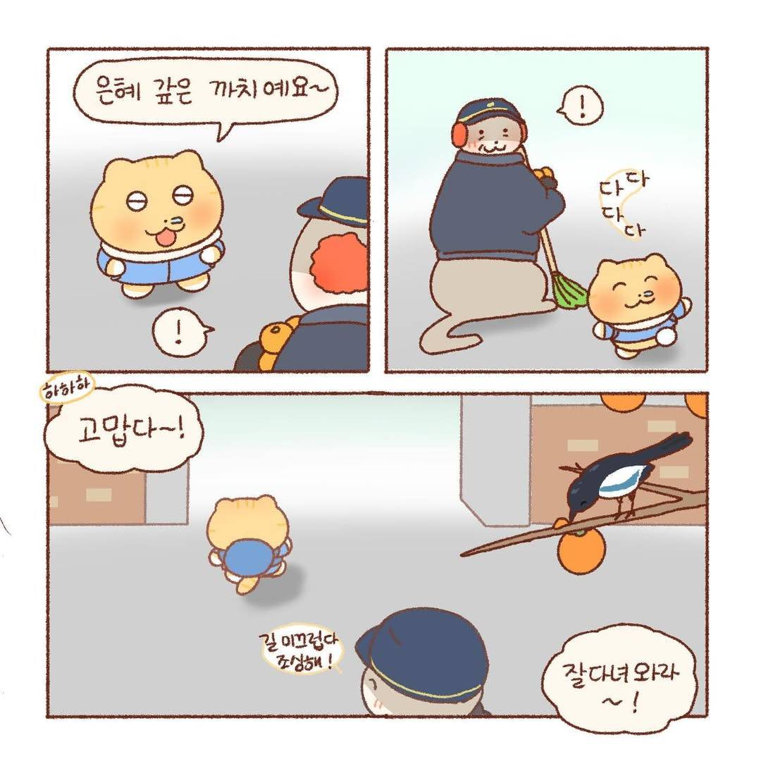 [틴틴팅클] 감나무 | 인스티즈