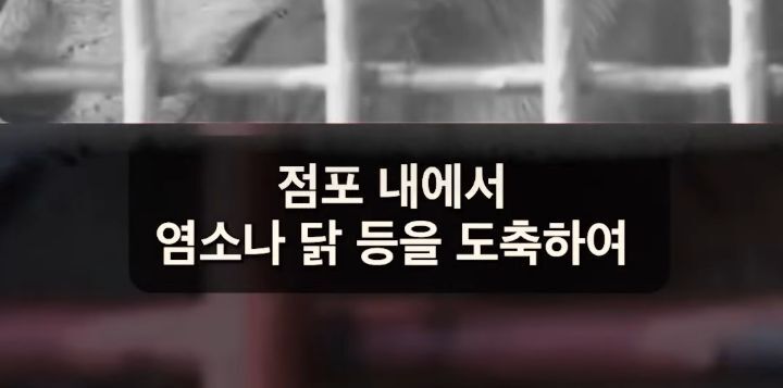 성남 모란 개시장을 단순히 밀어버린게 아니었던 이재명 | 인스티즈