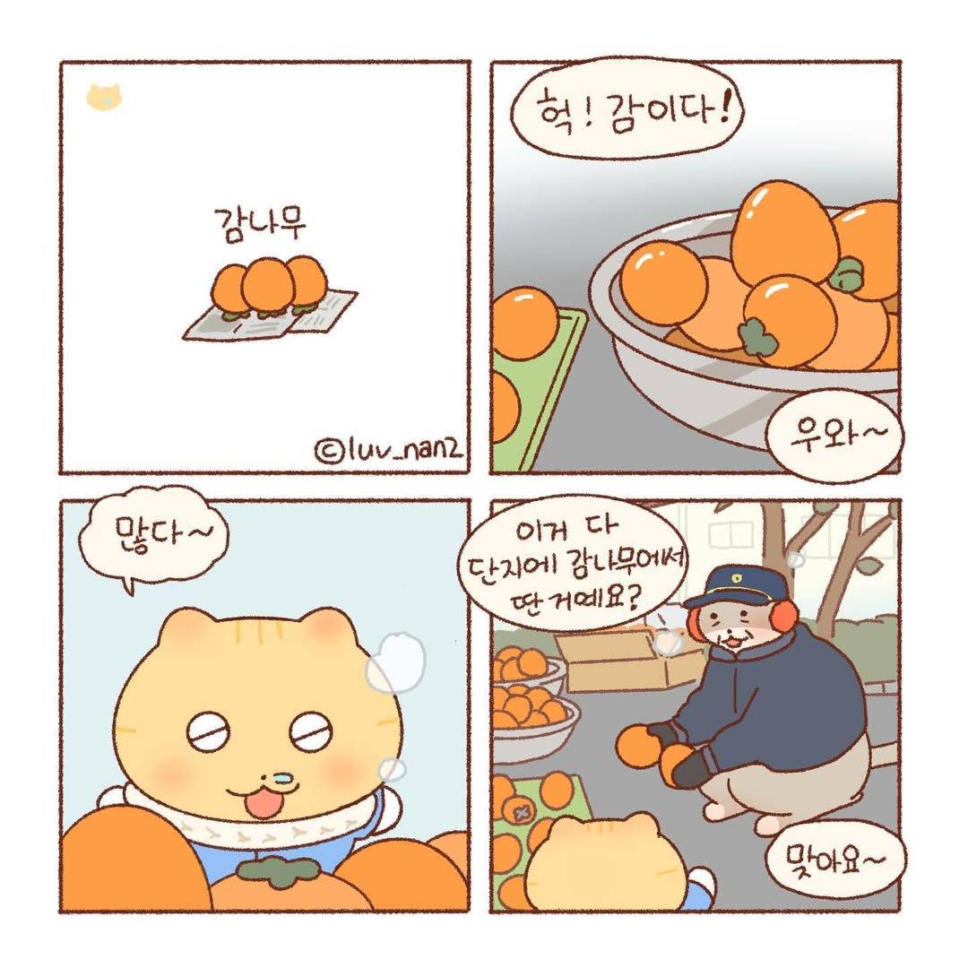 [틴틴팅클] 감나무 | 인스티즈