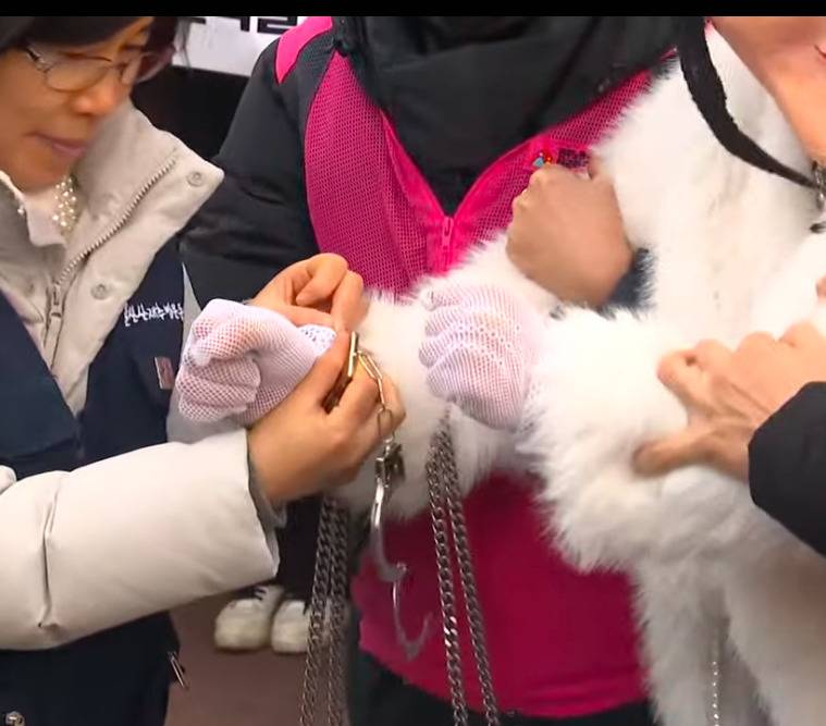울산에서 이 체포 퍼포먼스중 | 인스티즈