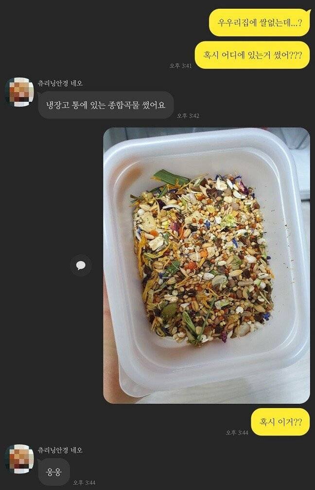 후배가 햄스터 사료로 죽 끓여줌 | 인스티즈
