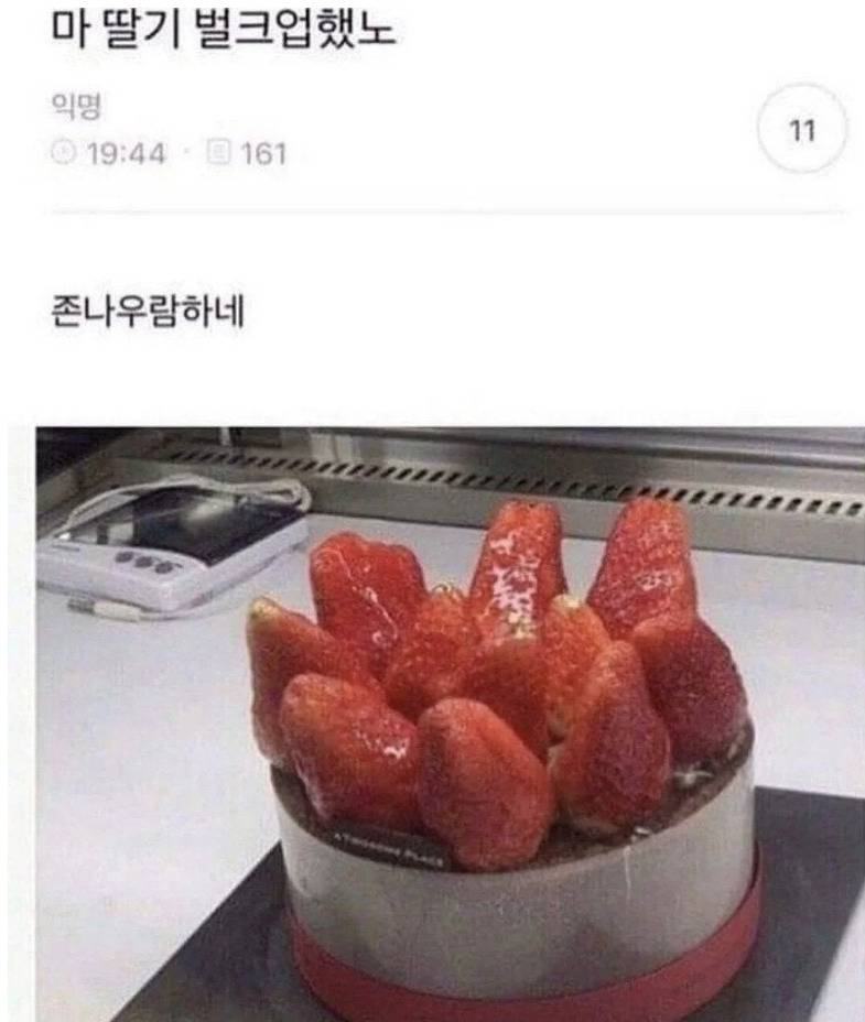 벌크업한 딸기 케이크 | 인스티즈