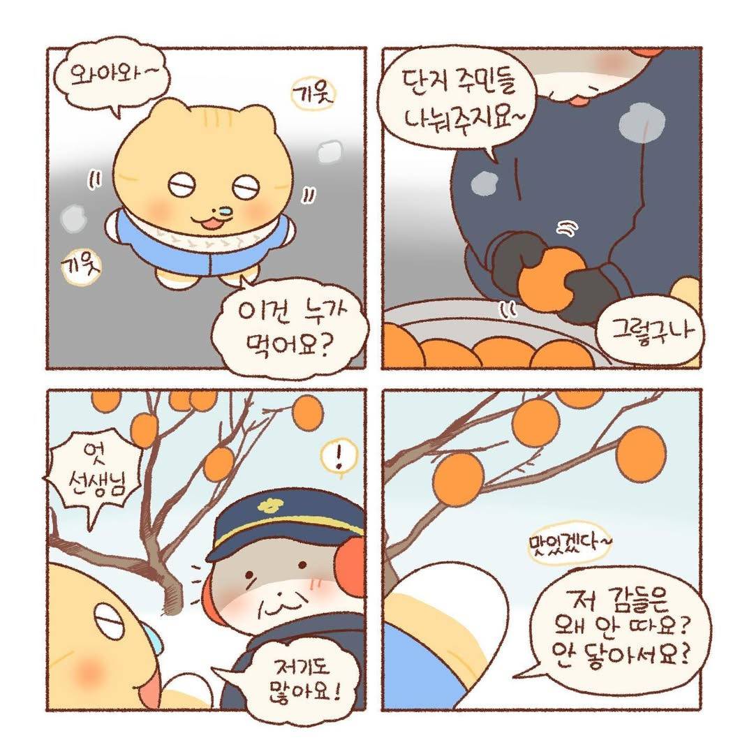 [틴틴팅클] 감나무 | 인스티즈