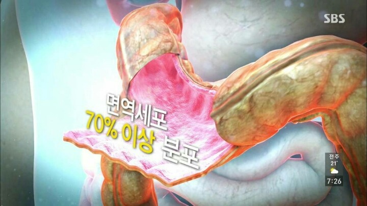현대인이 꼭 챙겨야할 장 건강. jpg | 인스티즈
