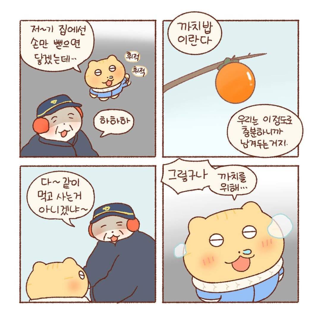 [틴틴팅클] 감나무 | 인스티즈