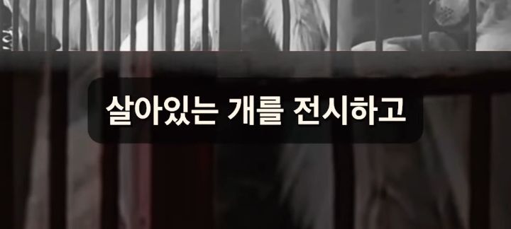 성남 모란 개시장을 단순히 밀어버린게 아니었던 이재명 | 인스티즈