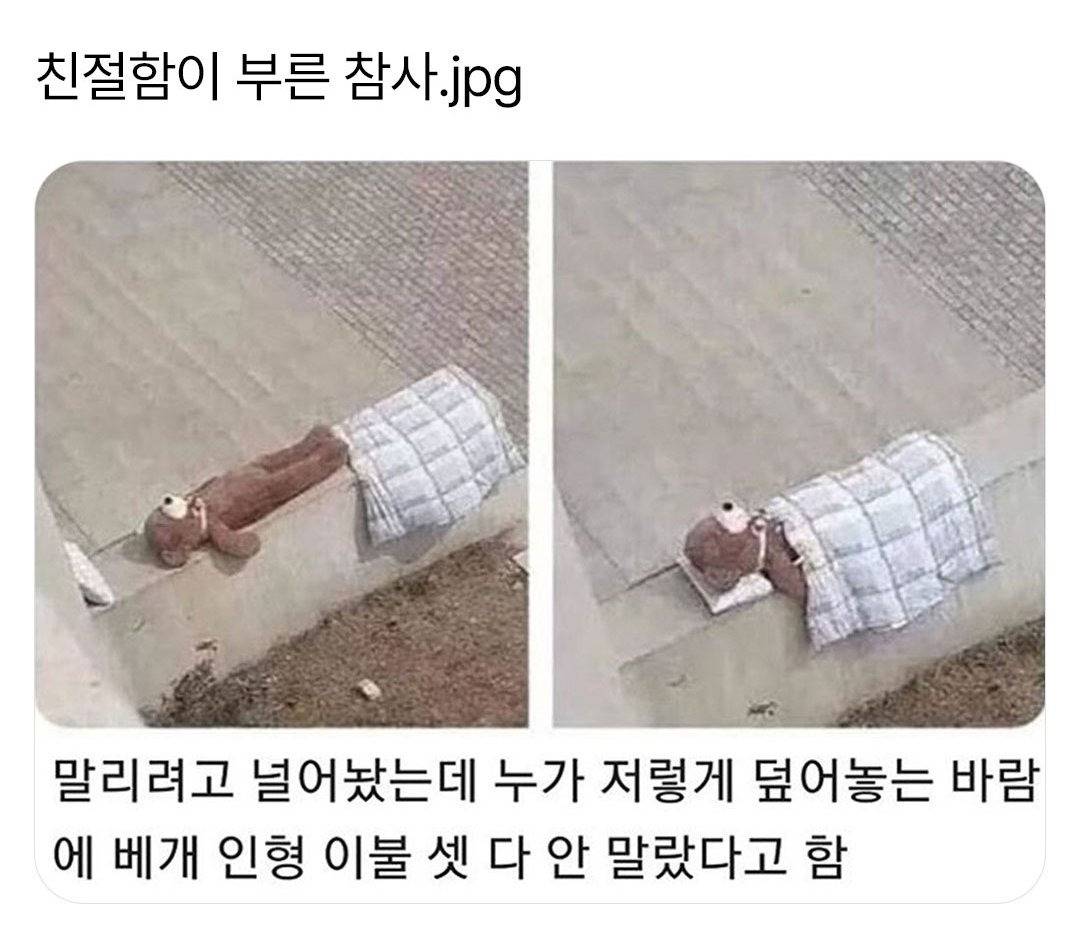 친절함이 부른 참사 | 인스티즈