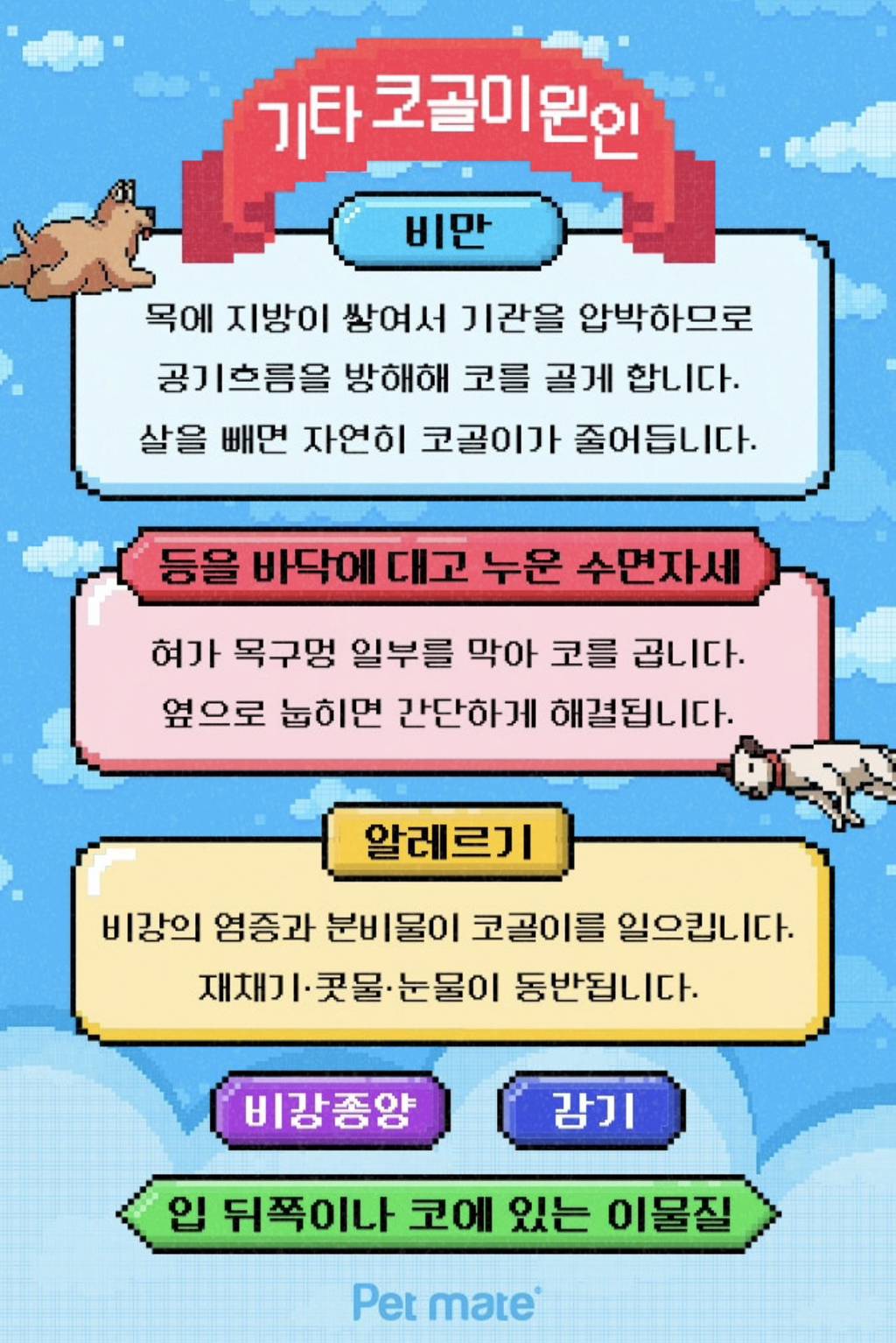 드르렁~ 강아지가 코고는 이유 | 인스티즈