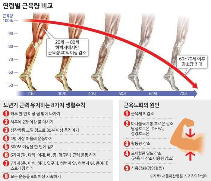 연령별 근육량 비교 | 인스티즈