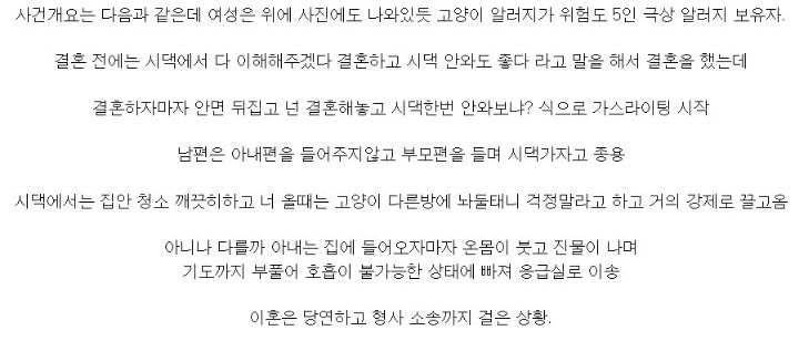 고양이 알러지 무시한 시댁 전원 쇠고랑 | 인스티즈