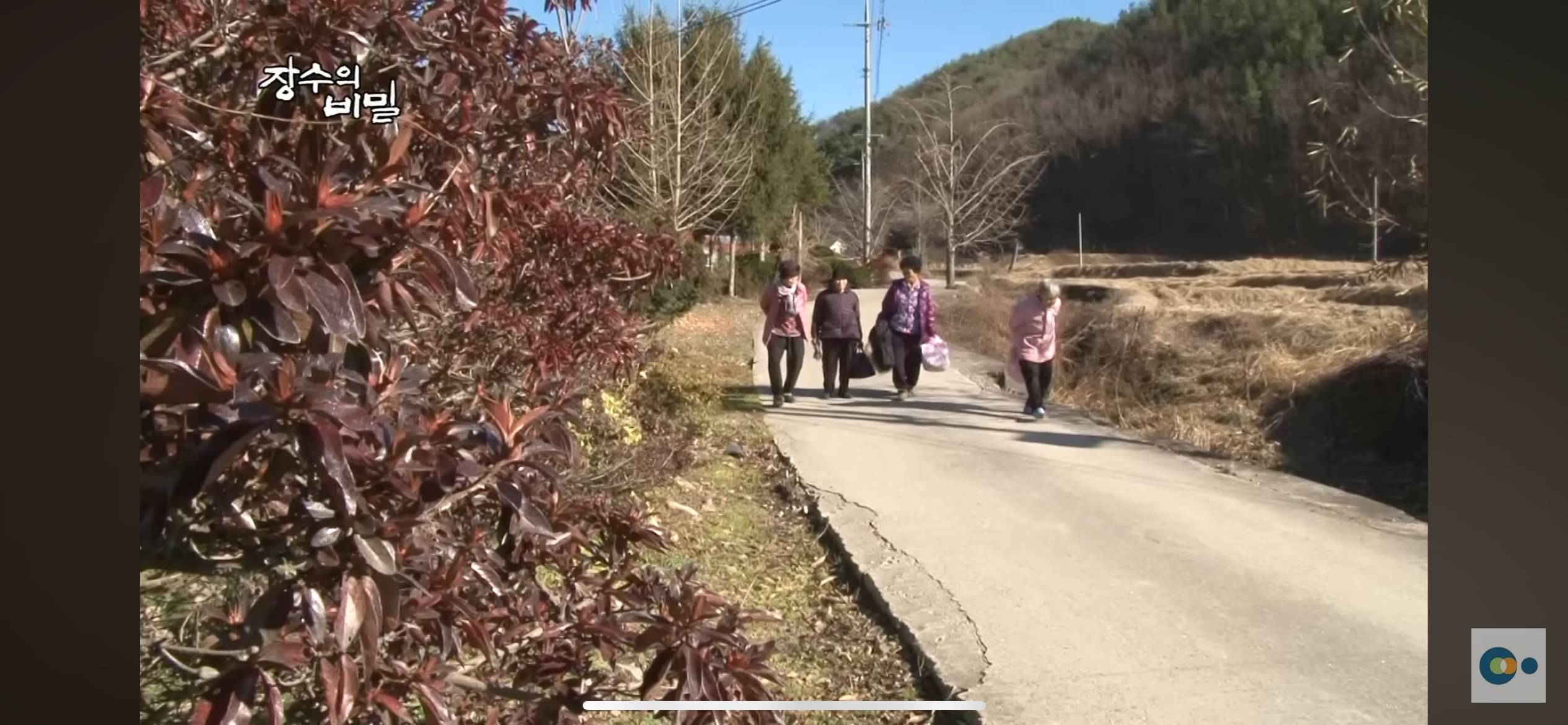 할머니들은 겨울이 오면 합숙을 시작한다👵🏻🏡 | 인스티즈