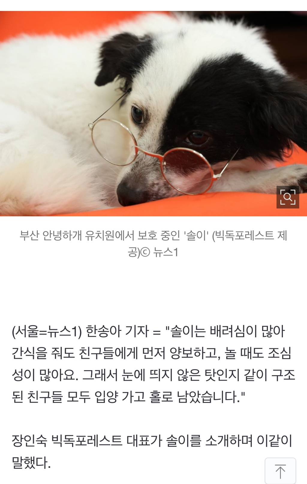 사업 실패로 버려졌던 바둑이…"배려심은 최고"[가족의발견(犬)] | 인스티즈