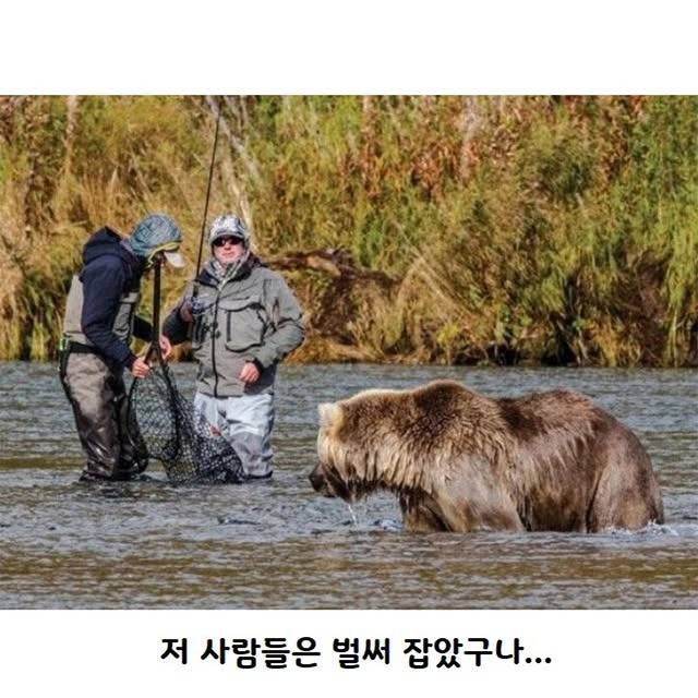 연어가 돌아올 시기 알래스카 모습 | 인스티즈