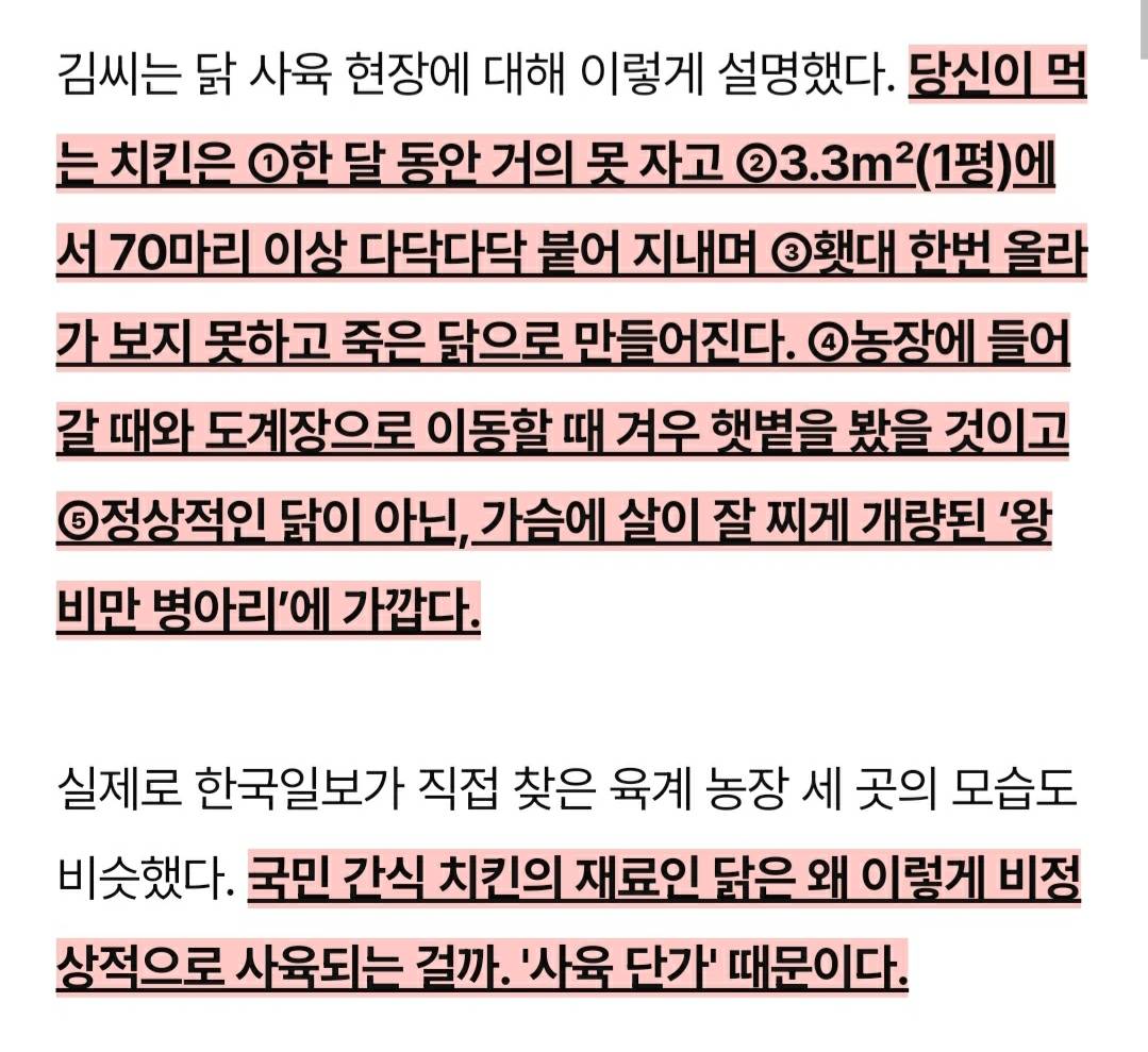 어젯밤 당신이 먹은 치킨은 한 달 동안 못 잔 닭이다 | 인스티즈