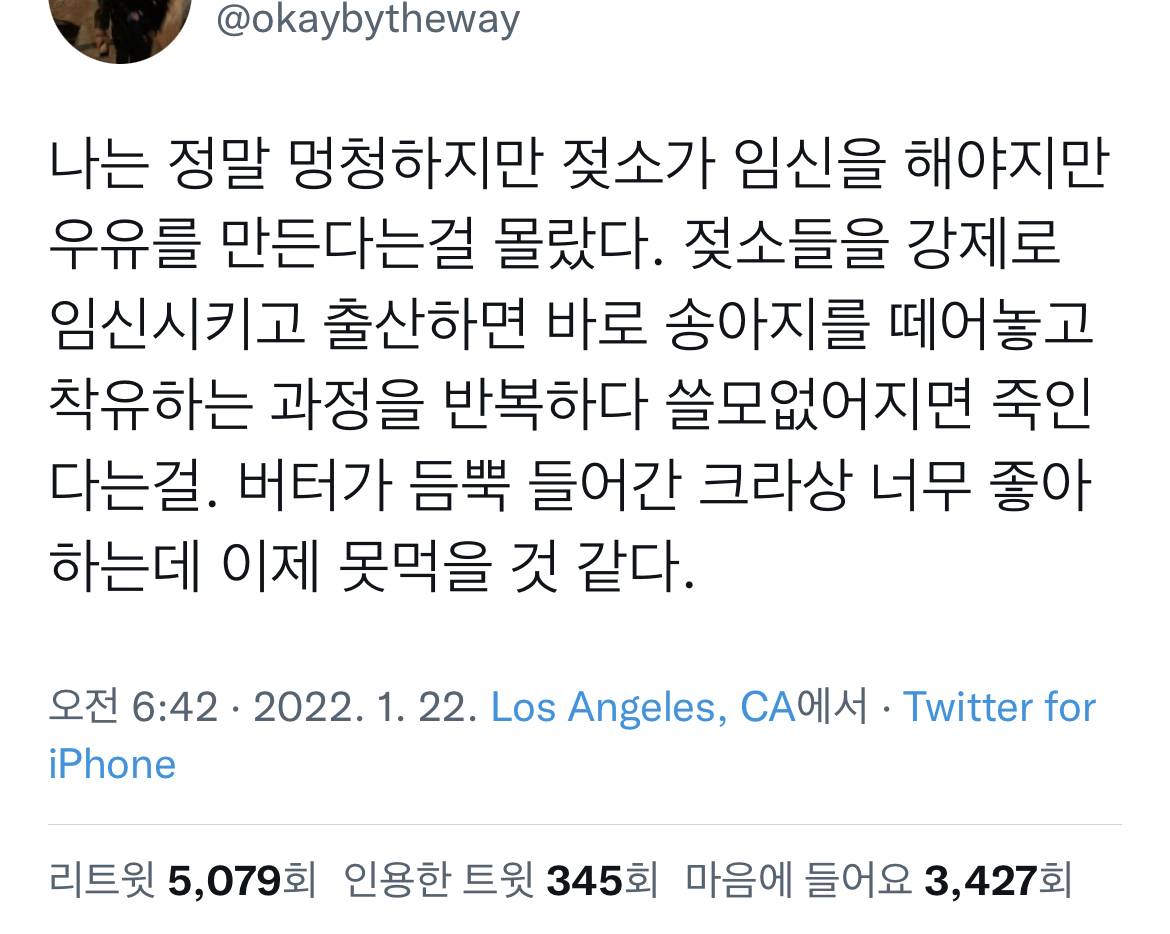 나는 정말 둔하지만 젖소가 임신을 해야지만 우유를 만든다는걸 몰랐다 | 인스티즈