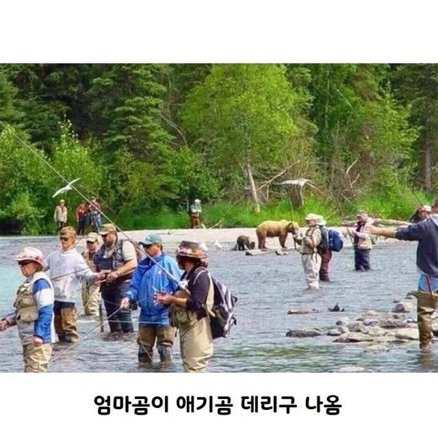 연어가 돌아올 시기 알래스카 모습 | 인스티즈