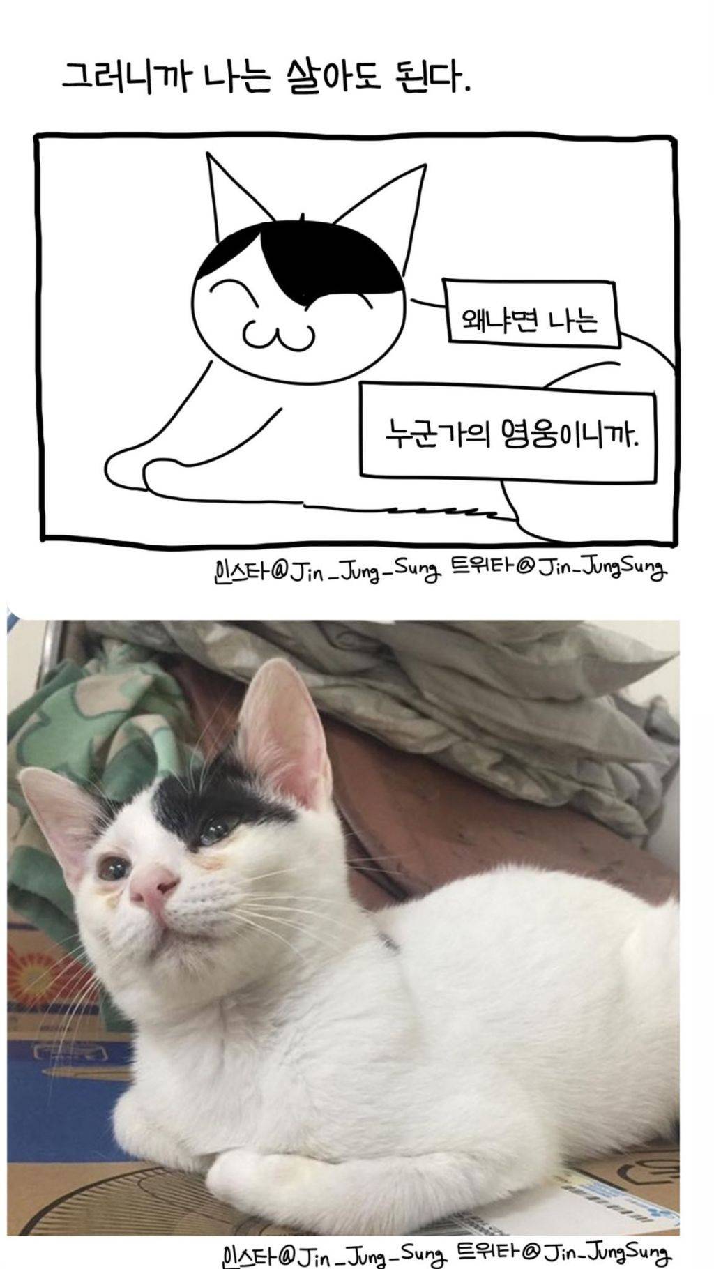 저, 혹시 보호자 상태에도 고양이가 영향을 받습니까? | 인스티즈