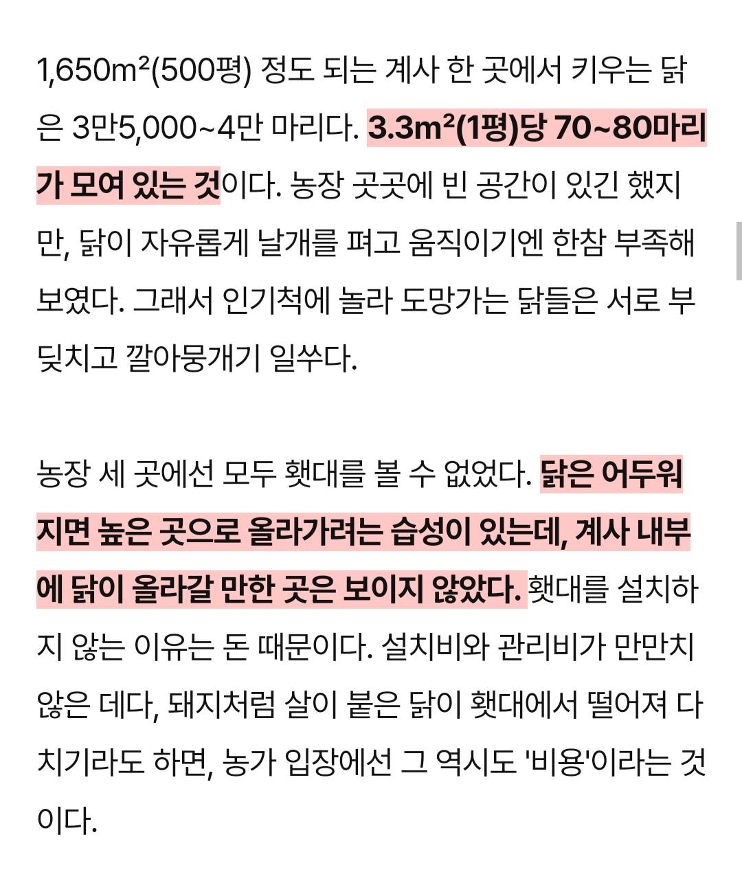 어젯밤 당신이 먹은 치킨은 한 달 동안 못 잔 닭이다 | 인스티즈