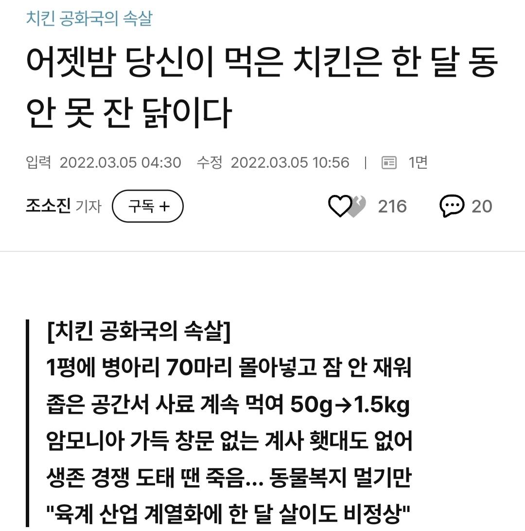 어젯밤 당신이 먹은 치킨은 한 달 동안 못 잔 닭이다 | 인스티즈