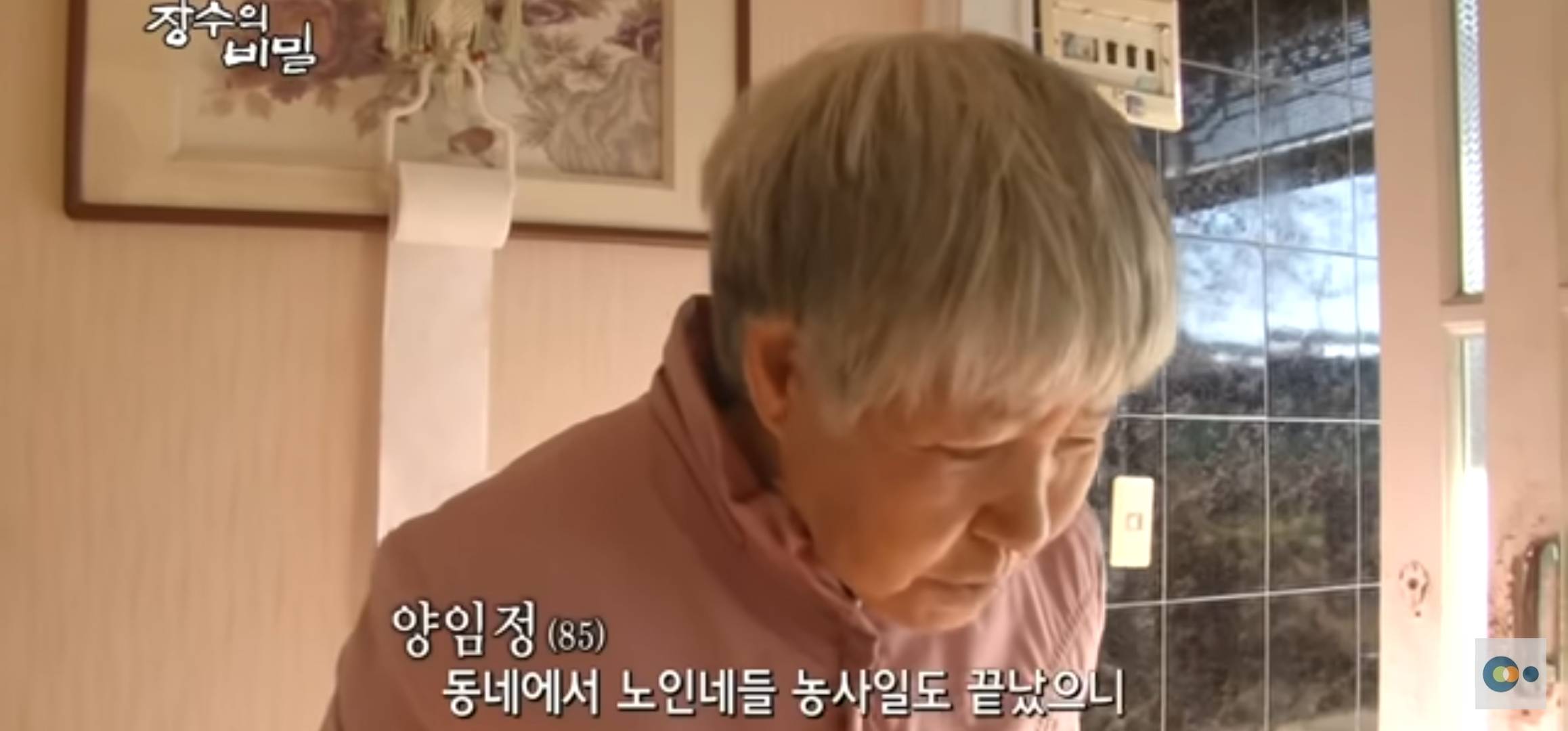겨울이되면 대박마을 할머니들은 마을회관으로 모이신당 | 인스티즈
