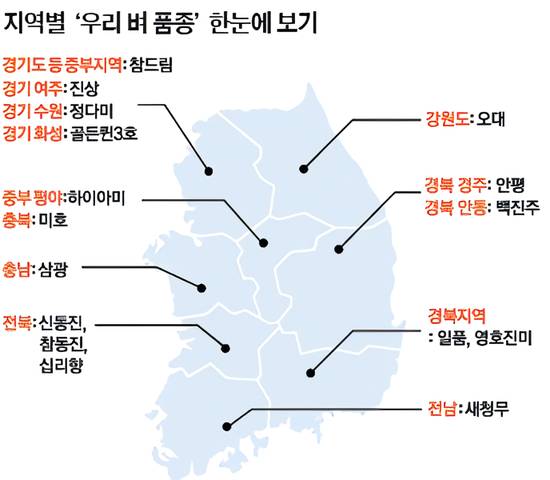 주요 쌀 품종 특징 비교 | 인스티즈