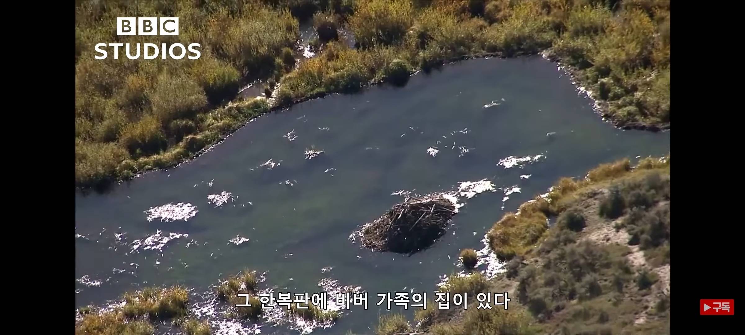 영하 20도에도 비버 집은 따끈따끈해~ | 인스티즈