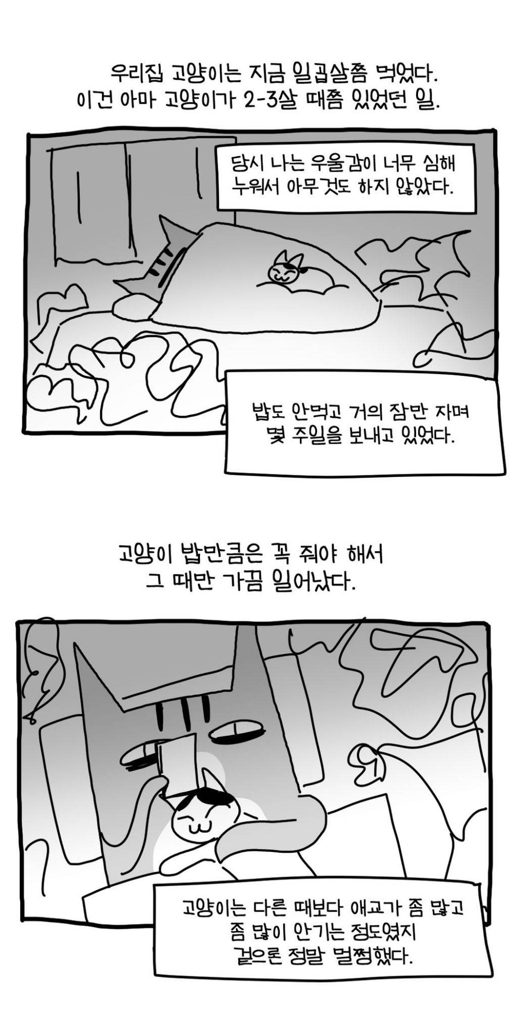 저, 혹시 보호자 상태에도 고양이가 영향을 받습니까? | 인스티즈