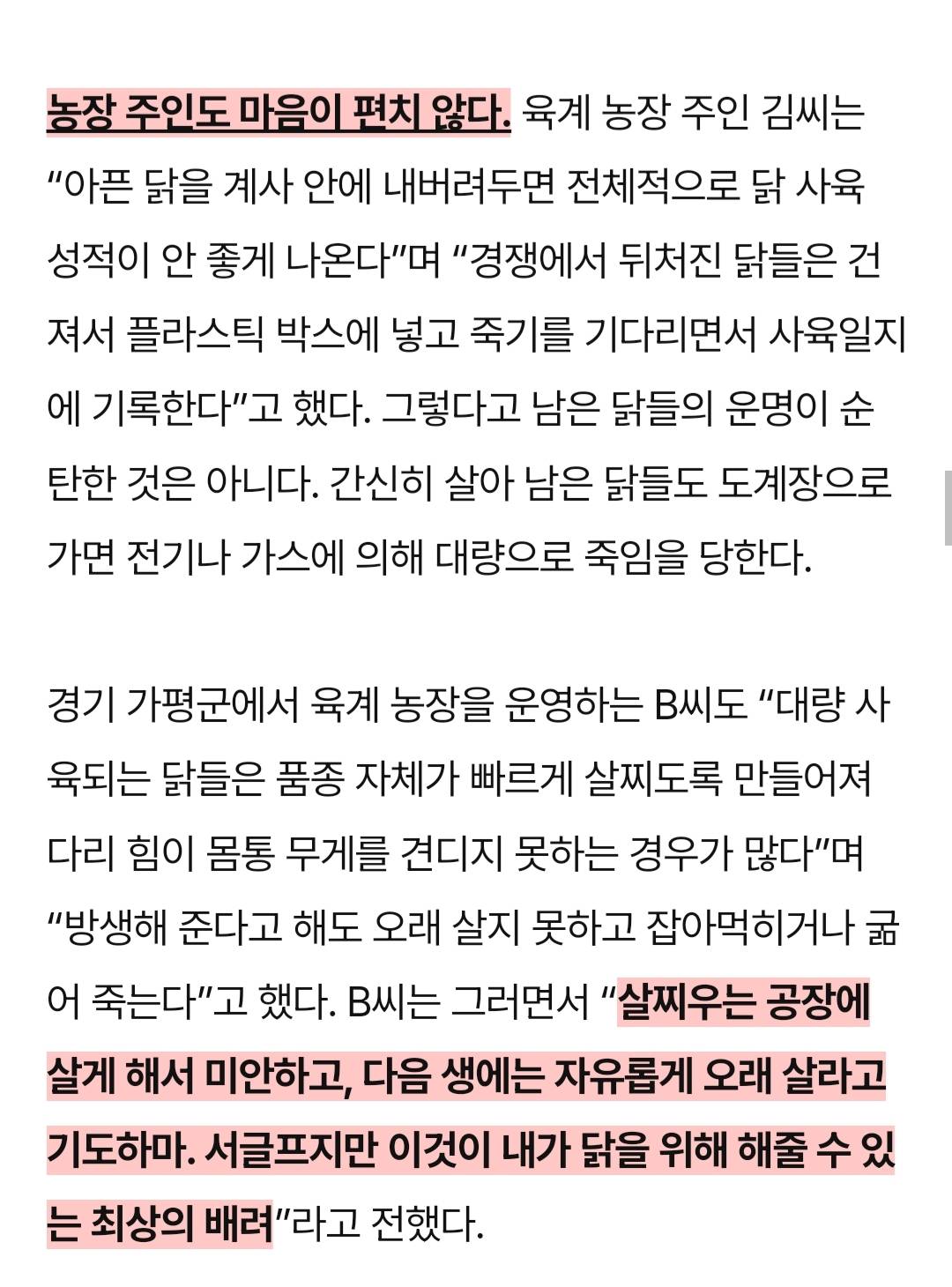 어젯밤 당신이 먹은 치킨은 한 달 동안 못 잔 닭이다 | 인스티즈