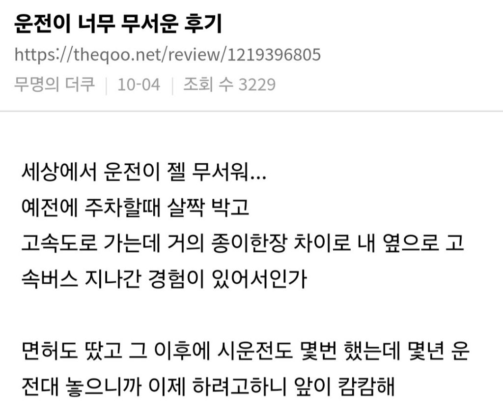 운전을 너무너무너무 무서워 하는 사람들이 있음.jpg | 인스티즈