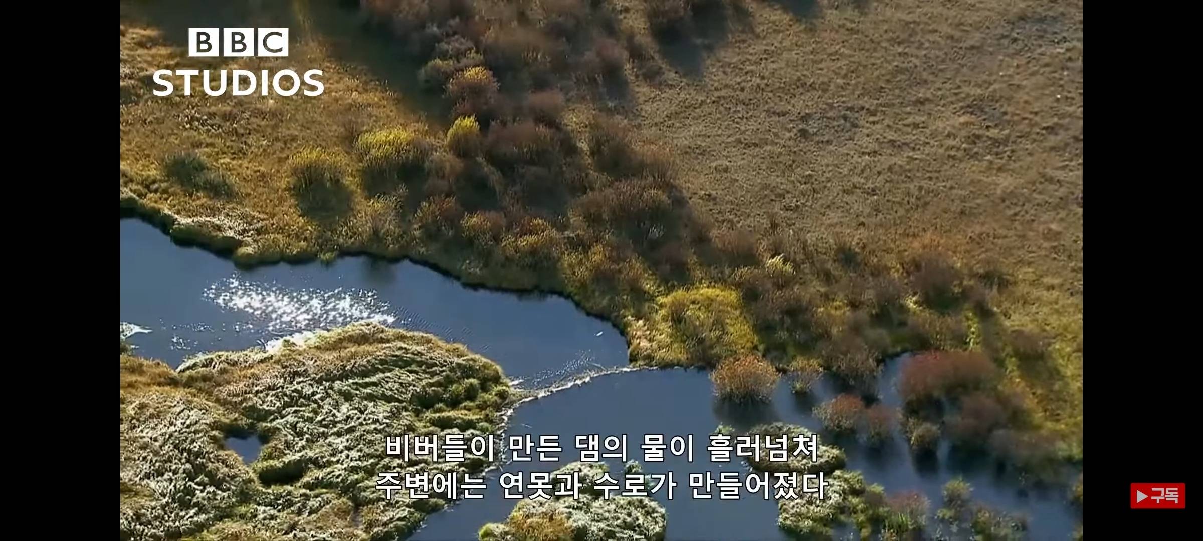 영하 20도에도 비버 집은 따끈따끈해~ | 인스티즈