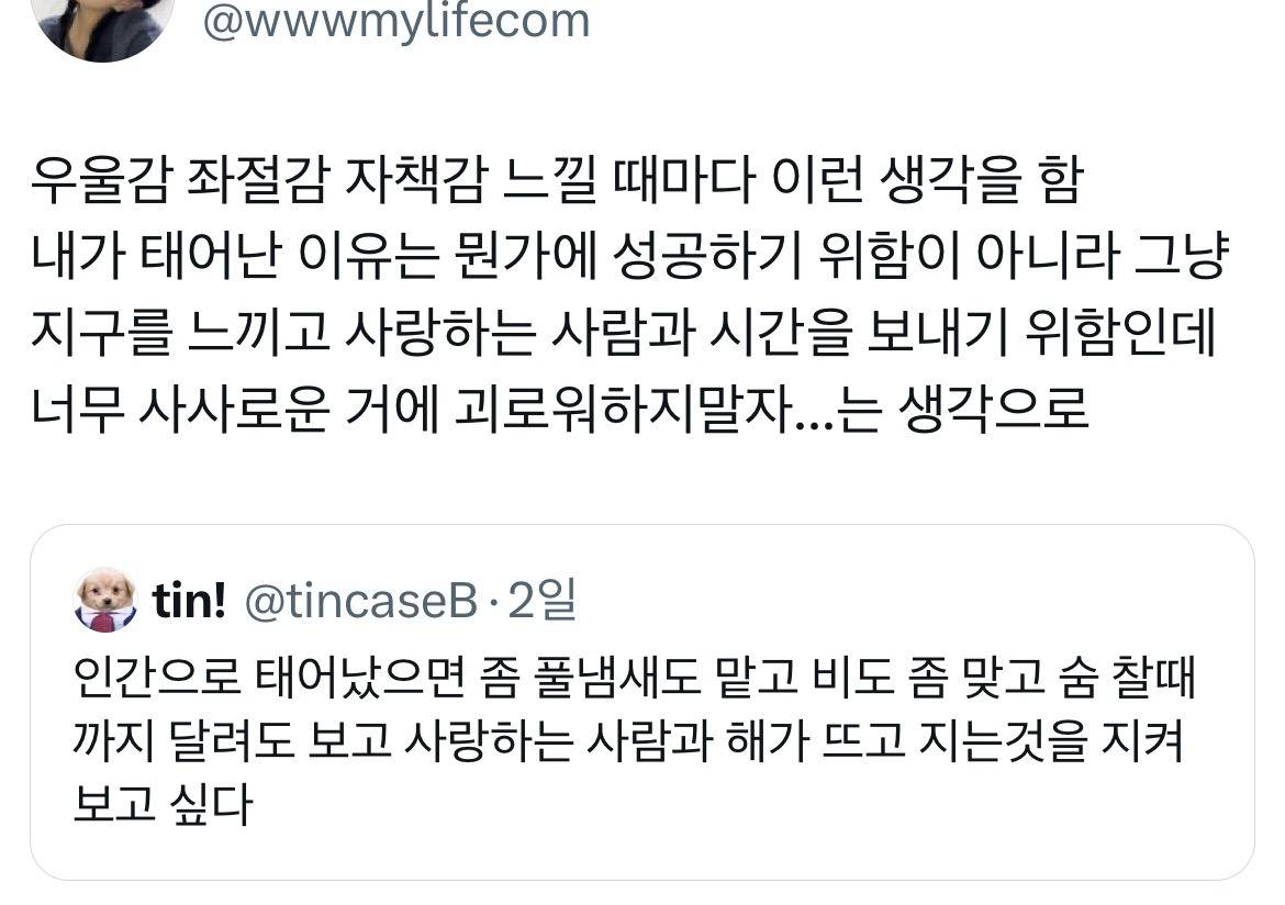 인간으로 태어났으면 좀 풀냄새도 맡고 비도 좀 맞고.twt | 인스티즈