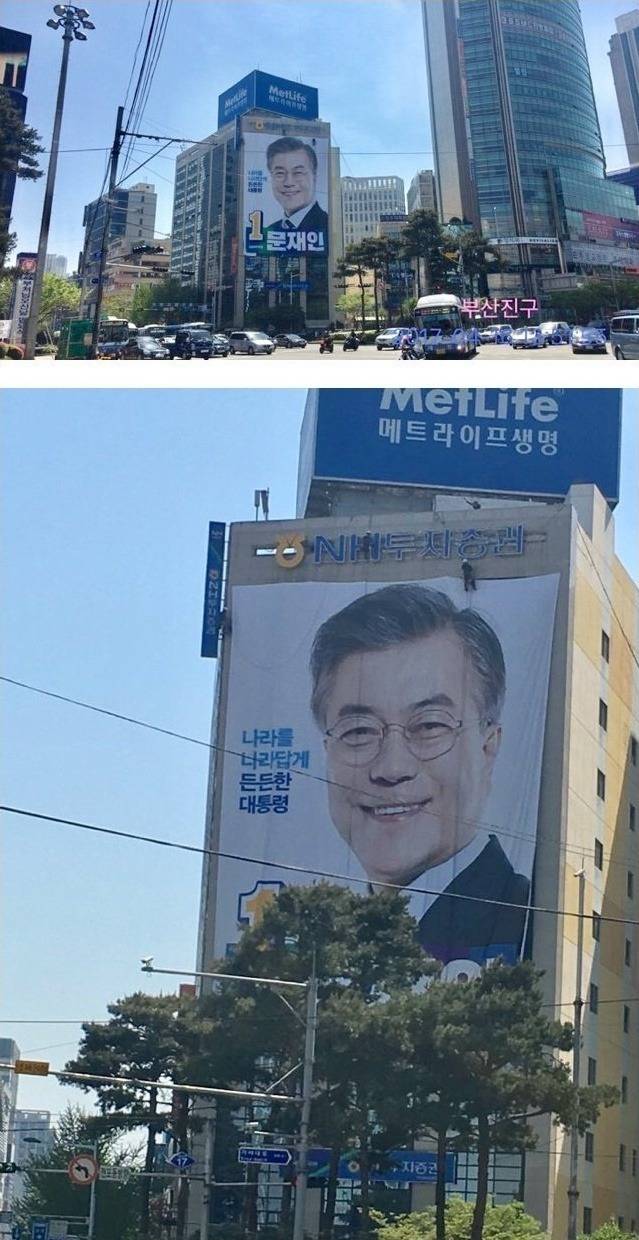 손혜원 영입 후 바뀐 민주당 디자인(수정) | 인스티즈