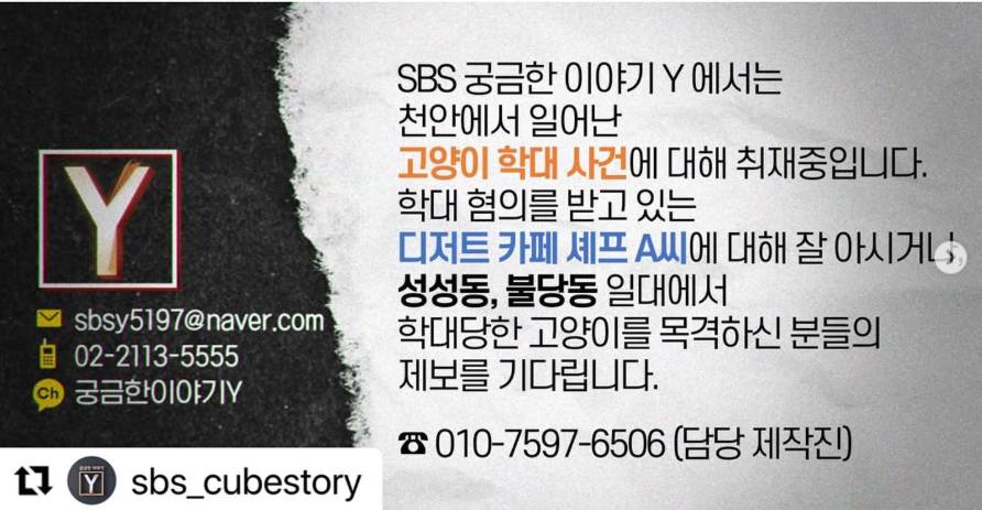 길고양이 잔혹 학대...유명 디저트 카페 셰프, 대체 누구? (궁금한 이야기 Y) | 인스티즈