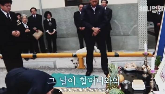 할머니 장례식장에서 눈물 흘리던 백구가 2년동안 한 일 | 인스티즈