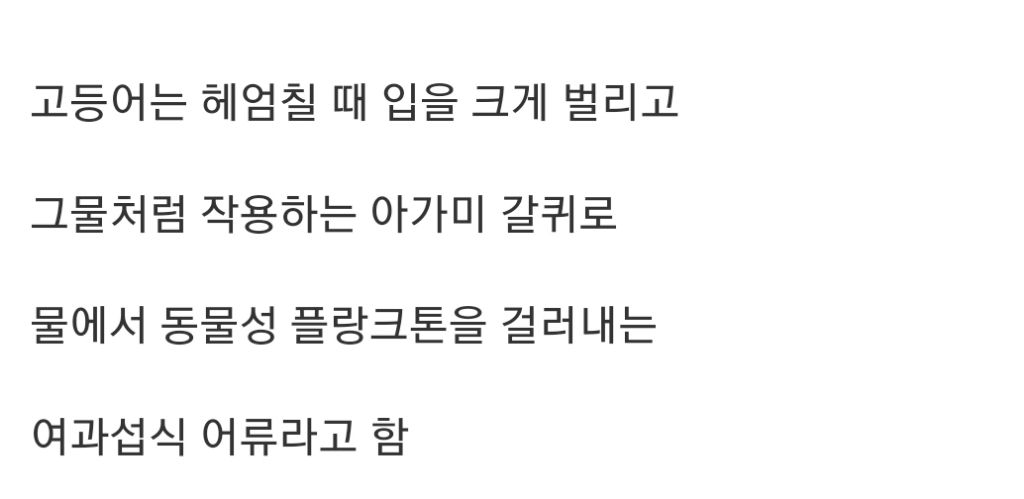 많은 사람들이 잘 모르는 고등어 헤엄치는 모습 | 인스티즈