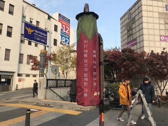 계엄 다음날 성동구 주민들이 받은문자 | 인스티즈