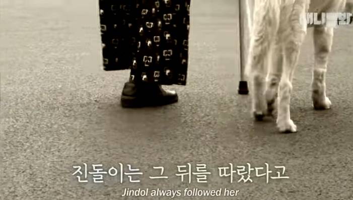 할머니 장례식장에서 눈물 흘리던 백구가 2년동안 한 일 | 인스티즈