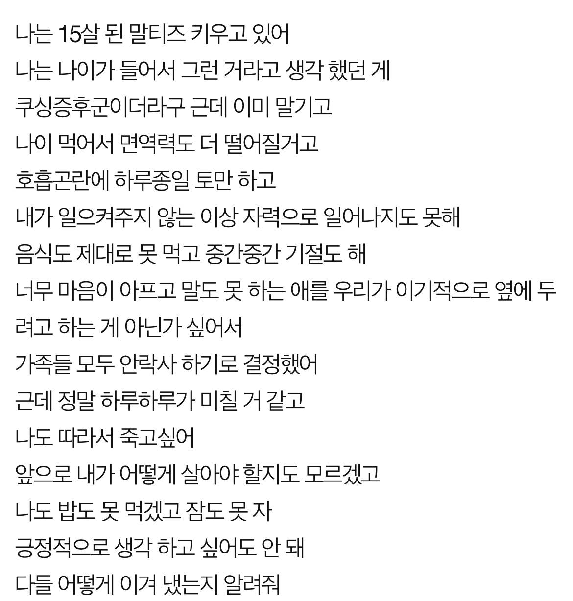 [네이트판] 혹시 다들 반려견 죽음 어떻게 견뎠어? | 인스티즈