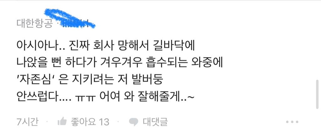 합병문제로 블라인드에서 싸우고 있는 대한항공 아시아나 직원들 | 인스티즈