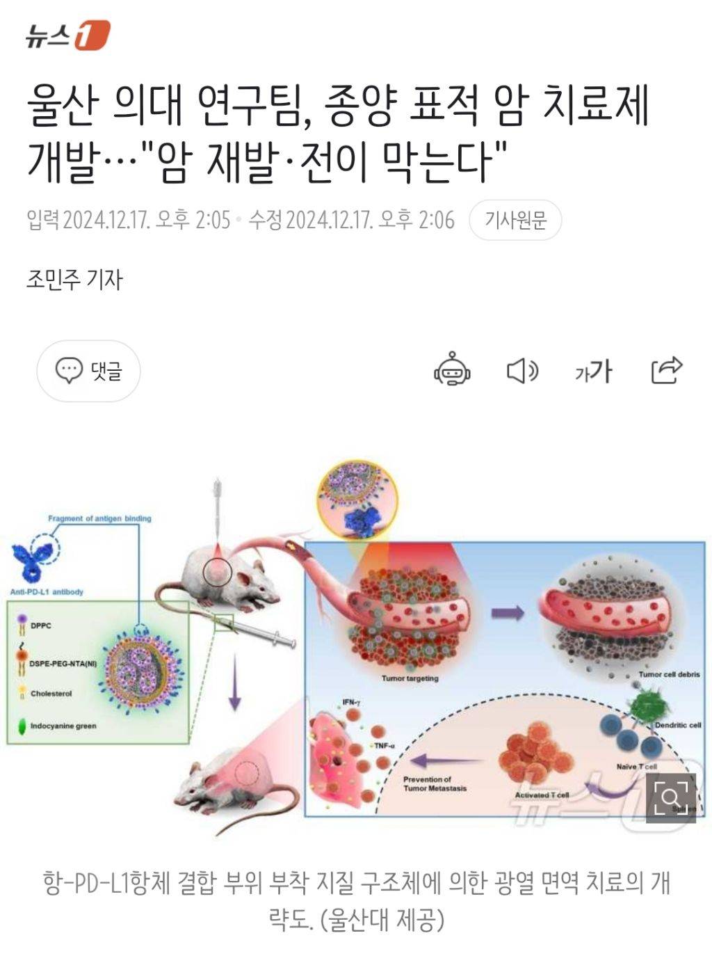 울산 의대 연구팀, 종양 표적 암 치료제 개발…"암 재발·전이 막는다" | 인스티즈