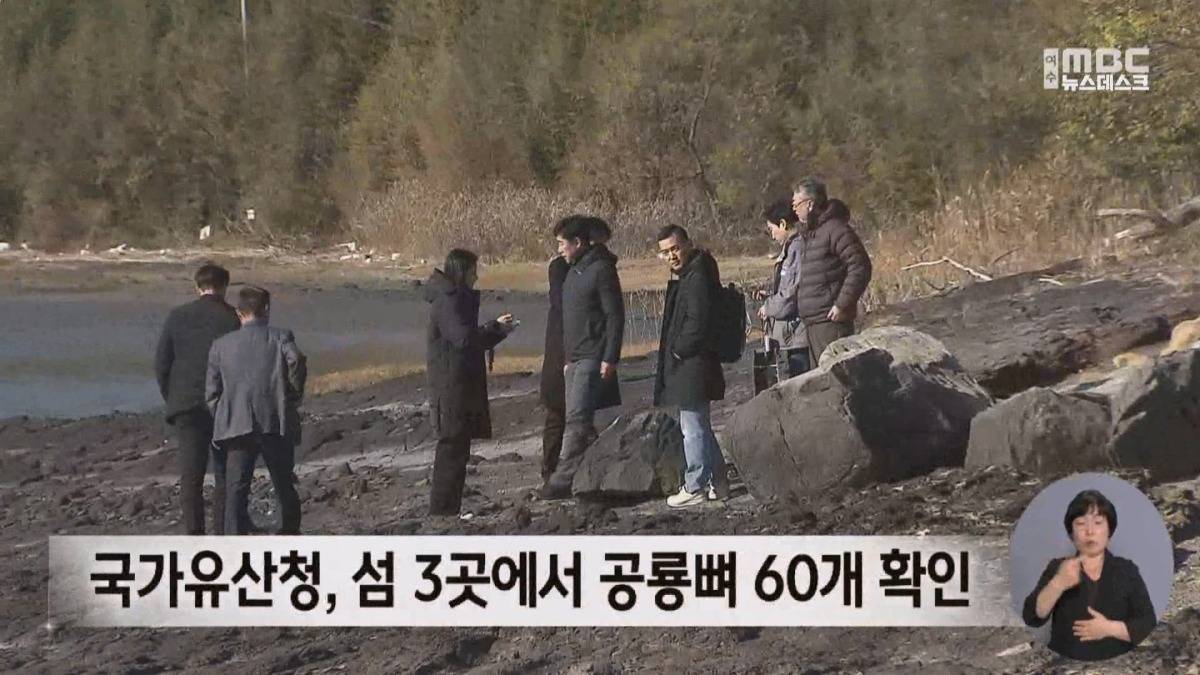 여수 무인도에서 공룡뼈가 무더기로 발견됨.jpg | 인스티즈