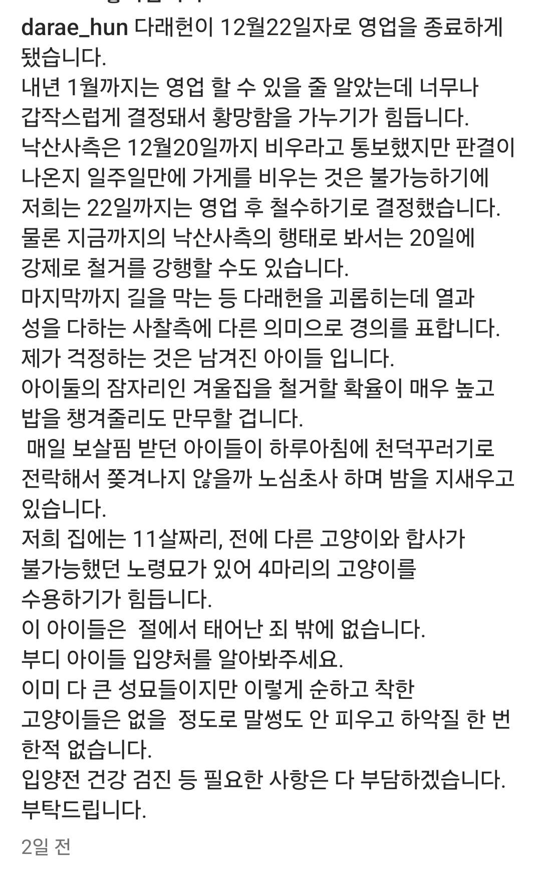 (입양홍보) 양양 낙산사 고양이들의 가족이 되어주실 분을 찾습니다!!! 당장 일욜에 쫓겨나ㅠㅠ 아이들 한번만 봐주라 | 인스티즈